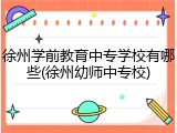 徐州学前教育中专学校有哪些(徐州幼师中专校)