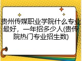 贵州传媒职业学院什么专业最好，一年招多少人(贵传院热门专业招生数)
