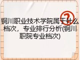 铜川职业技术学院属于什么档次，专业排行分析(铜川职院专业档次)