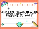 湖北工程职业学院中专分数线(湖北职院中专线)