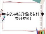 中专的学校升级成专科(中专升专科)
