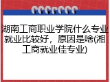 湖南工商职业学院什么专业就业比较好，原因是啥(湘工商就业佳专业)