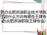 民办合肥滨湖职业技术学院主攻什么方向有哪些王牌专业(合肥滨湖职院王牌专业)