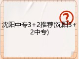 沈阳中专3+2推荐(沈阳3+2中专)