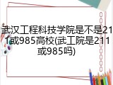 武汉工程科技学院是不是211或985高校(武工院是211或985吗)