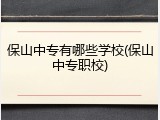 保山中专有哪些学校(保山中专职校)