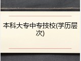 本科大专中专技校(学历层次)