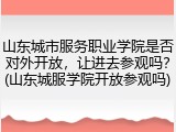 山东城市服务职业学院是否对外开放，让进去参观吗？(山东城服学院开放参观吗)