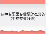 在中专里面专业是怎么分的(中专专业分类)