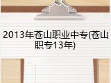2013年苍山职业中专(苍山职专13年)