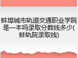 蚌埠城市轨道交通职业学院是一本吗录取分数线多少(蚌轨院录取线)