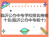 临沂公办中专学校排名榜前十名(临沂公办中专前十)
