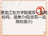 黑龙江东方学院是双一流高校吗，简单介绍(非双一流高校简介)