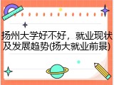 扬州大学好不好，就业现状及发展趋势(扬大就业前景)