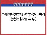 沧州技校有哪些学校中专生(沧州技校中专)