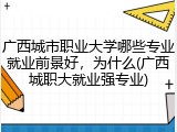 广西城市职业大学哪些专业就业前景好，为什么(广西城职大就业强专业)