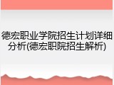 德宏职业学院招生计划详细分析(德宏职院招生解析)