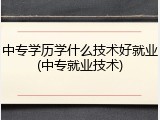 中专学历学什么技术好就业(中专就业技术)