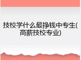 技校学什么最挣钱中专生(高薪技校专业)