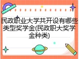 民政职业大学共开设有哪些类型奖学金(民政职大奖学金种类)