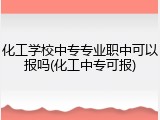 化工学校中专专业职中可以报吗(化工中专可报)