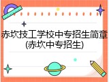 赤坎技工学校中专招生简章(赤坎中专招生)