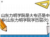 山东力明学院是大专还是中专(山东力明学院学历层次)
