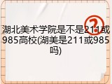 湖北美术学院是不是211或985高校(湖美是211或985吗)