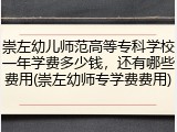 崇左幼儿师范高等专科学校一年学费多少钱，还有哪些费用(崇左幼师专学费费用)