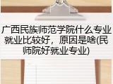 广西民族师范学院什么专业就业比较好，原因是啥(民师院好就业专业)