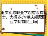 重庆能源职业学院有没有院士，大概多少(重庆能源职业学院有院士吗)