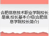 合肥信息技术职业学院校长是谁,校长基本介绍(合肥信息学院校长简介)