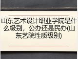 山东艺术设计职业学院是什么级别，公办还是民办(山东艺院性质级别)