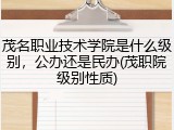 茂名职业技术学院是什么级别，公办还是民办(茂职院级别性质)