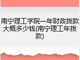 南宁理工学院一年财政拨款大概多少钱(南宁理工年拨款)