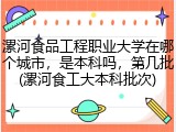 漯河食品工程职业大学在哪个城市，是本科吗，第几批(漯河食工大本科批次)