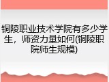 铜陵职业技术学院有多少学生，师资力量如何(铜陵职院师生规模)