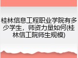 桂林信息工程职业学院有多少学生，师资力量如何(桂林信工院师生规模)