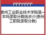 贵州工业职业技术学院是一本吗录取分数线多少(贵州工职院录取分数)