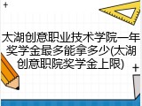 太湖创意职业技术学院一年奖学金最多能拿多少(太湖创意职院奖学金上限)