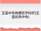 玉溪中专有哪些学校好(玉溪优秀中专)