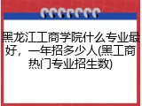 黑龙江工商学院什么专业最好，一年招多少人(黑工商热门专业招生数)