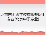 北京市中职学校有哪些职中专业(北京中职专业)