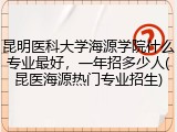 昆明医科大学海源学院什么专业最好，一年招多少人(昆医海源热门专业招生)