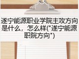 遂宁能源职业学院主攻方向是什么，怎么样("遂宁能源职院方向")