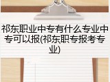 祁东职业中专有什么专业中专可以报(祁东职专报考专业)
