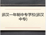 武汉一年制中专学校(武汉中专)