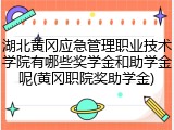 湖北黄冈应急管理职业技术学院有哪些奖学金和助学金呢(黄冈职院奖助学金)