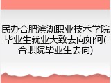 民办合肥滨湖职业技术学院毕业生就业大致去向如何(合职院毕业生去向)