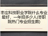 枣庄科技职业学院什么专业最好，一年招多少人(枣职院热门专业招生数)